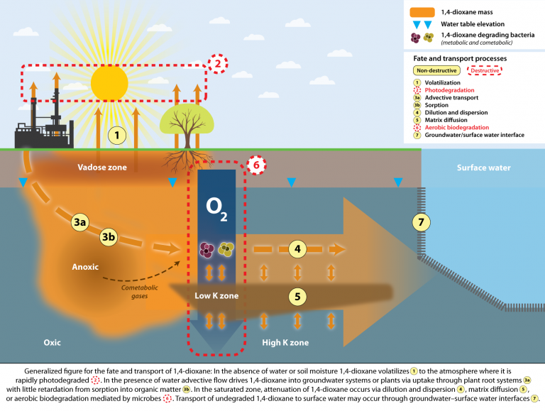 Environmental Fate, Transport, And Investigative Strategies – 14d